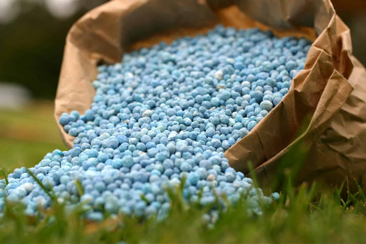 plant fertilizer