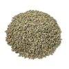 Winter Rye Seed, 5 Pounds, Cover Crop