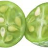 Melothria Scabra Mini Cucumber