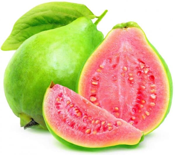Guava Fruit Tree Seeds for Planting &#8211; Exotic and Delicious Tropical Fruit. Great for Live Indoor Bonsai Tree &#8211; Fruit Seed for Sewing, Plantly