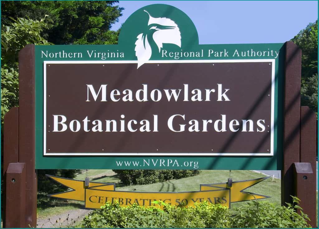 Meadowlark Botanical Garden