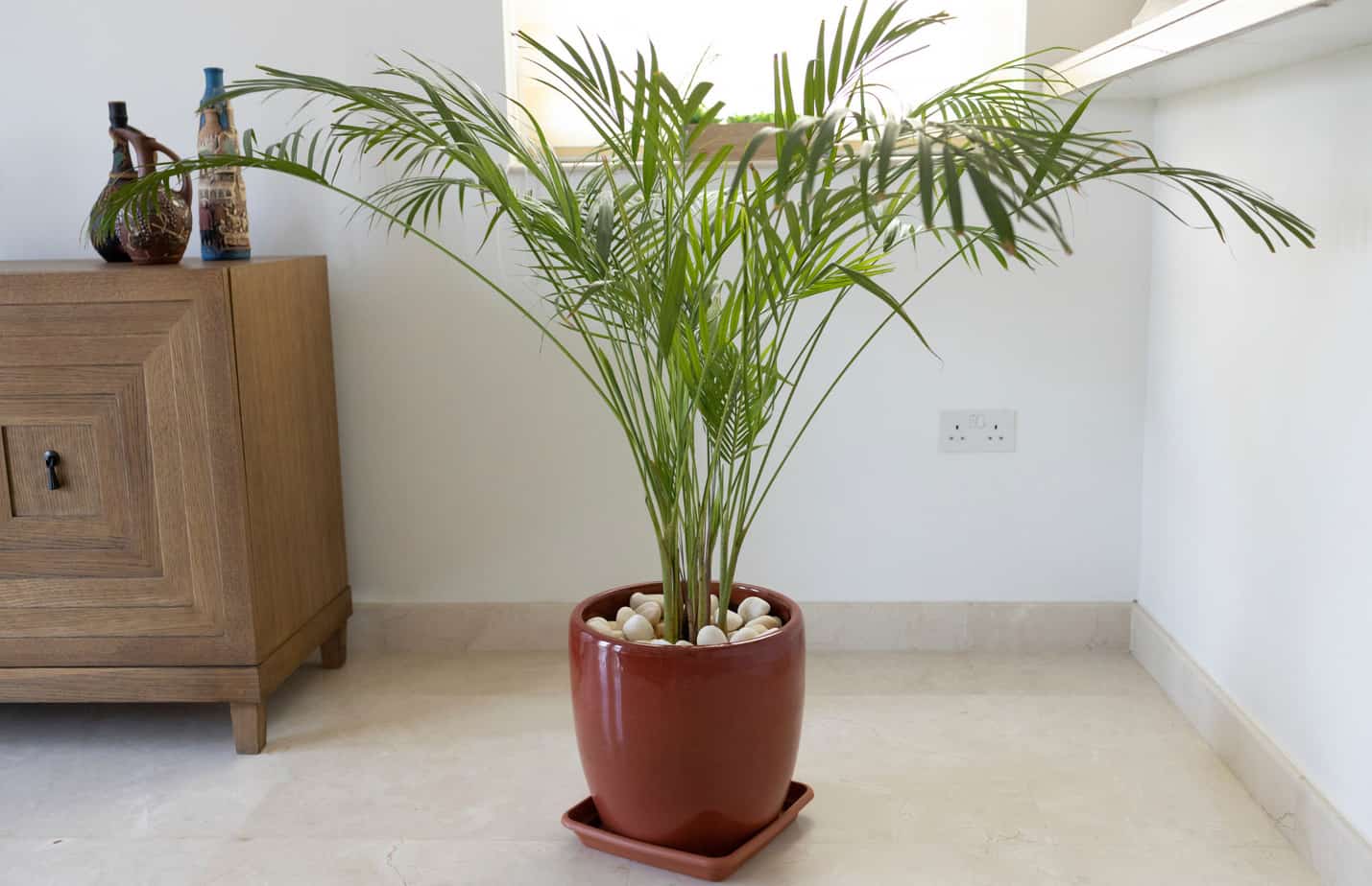 Bamboo Palms air purifier