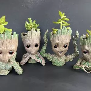 Groot pot with assorted succulent Groot pot with assorted succulent