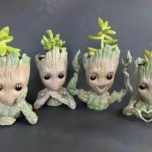 Groot pot with assorted succulent