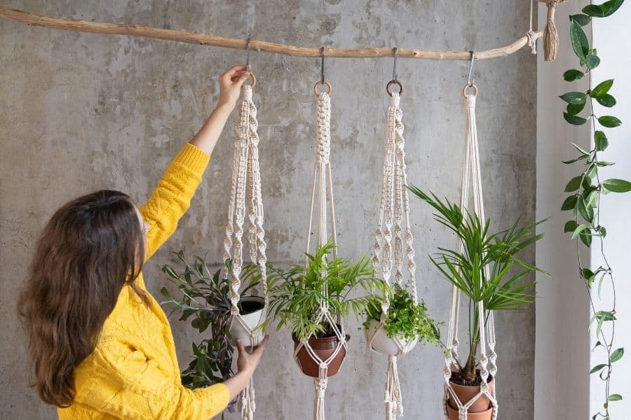 macrame plant hangers