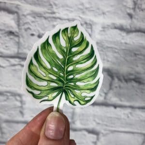 Monstera Deliciosa Leaf Vinyl Sticker - watercolor, 3 x 2 inches