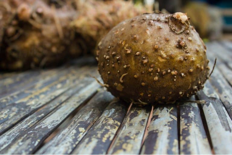 Complete Care For Voodoo Lily Plant Plantly