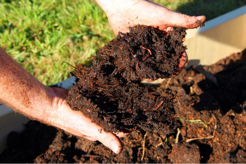 compost and organic matter