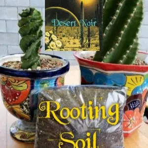 Rooting Soil, Desert Noir, proprietary blend, cactus, propagation, succulents