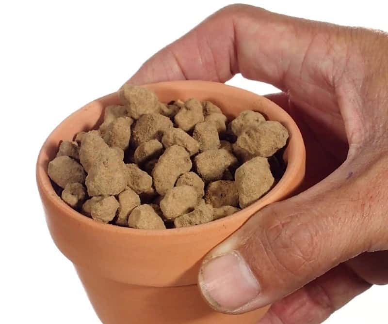 How to Make Your Own Bonsai Soil Mix? Plantly