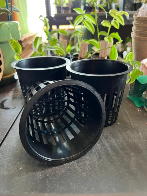 Set of 3! Black 4″ orchid pot with good drainage