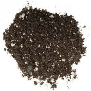 Bonsai Soil by CZ Grain - Specially Formulated for Fast Growing Trees and Plants - Great for All Plants - Best Soil on Earth