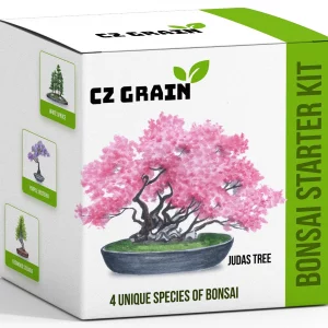a box with a picture of a bonsai tree
