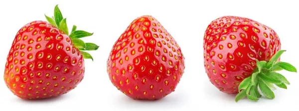 everbearing strawberry seeds 250+ seeds grow red strawberry vines-strawberry seeds organic-giant strawberry seeds-annual seeds-full sunlight, Plantly