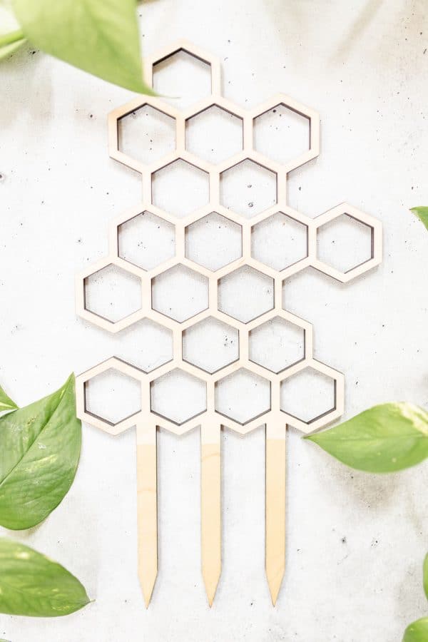 Medium Sized Honeycomb Trellis