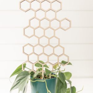 Large Honeycomb Trellis