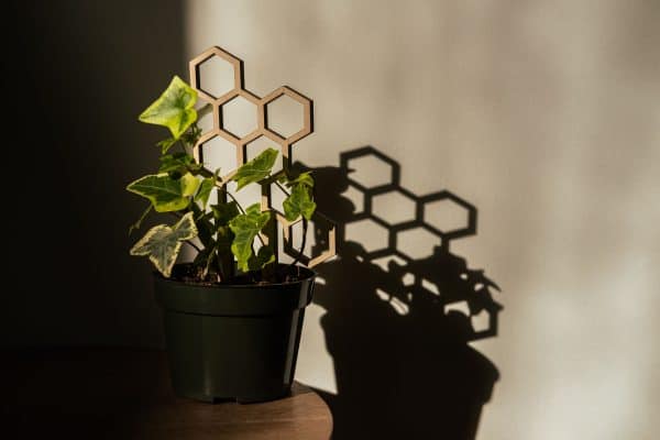 Small Honeycomb Plant Trellis, Plantly