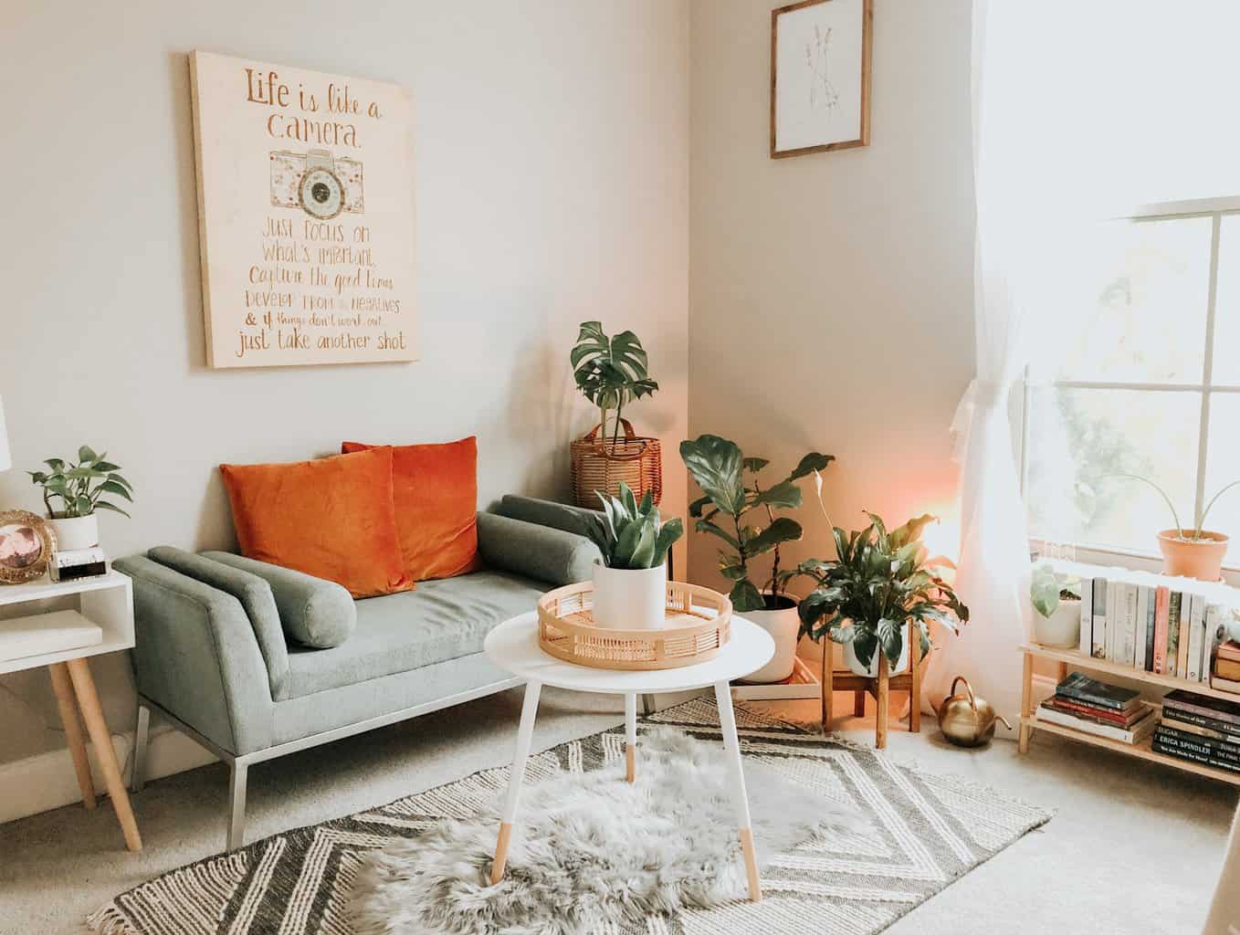 living room with good light and plants