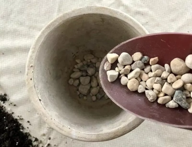 Putting rocks in pots
