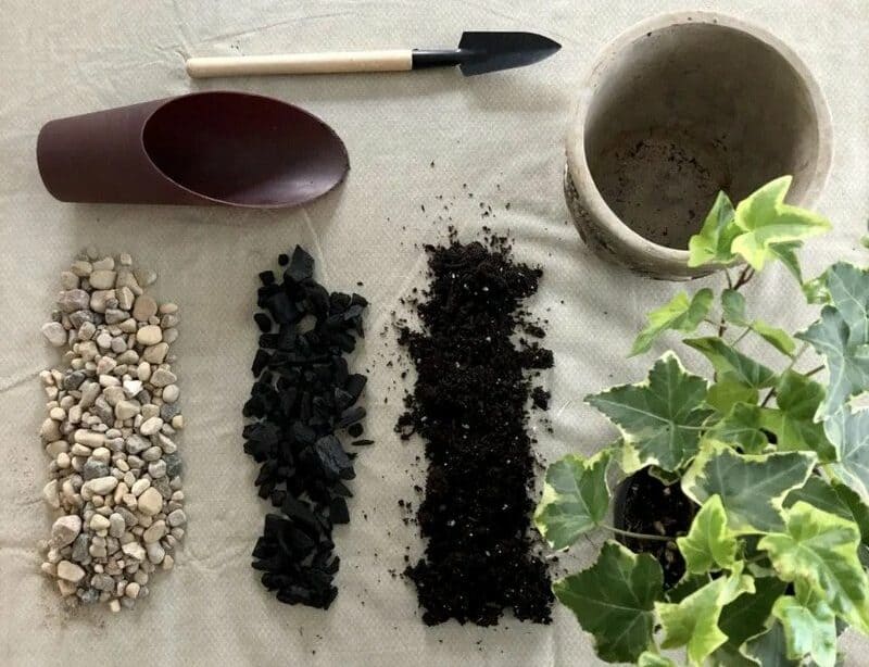 Importance Of Rocks In Plant Pots Plantly