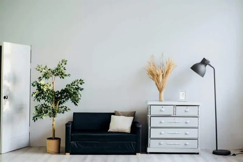 How to Decorate with Large Indoor Plants