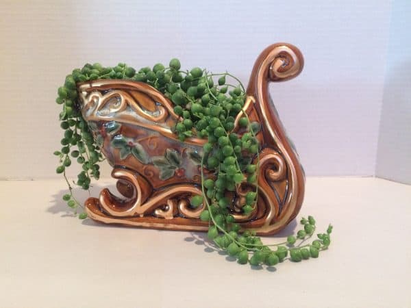 Mature String of Pearls in Ceramic Sleigh,, Plantly