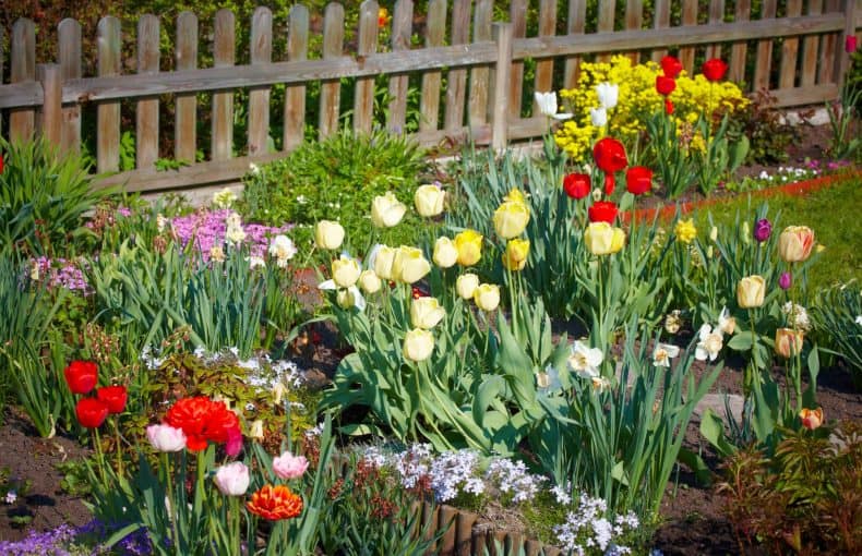 spring is coming