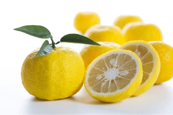 Yuzu lemon seeds – QNTY – 5 seeds