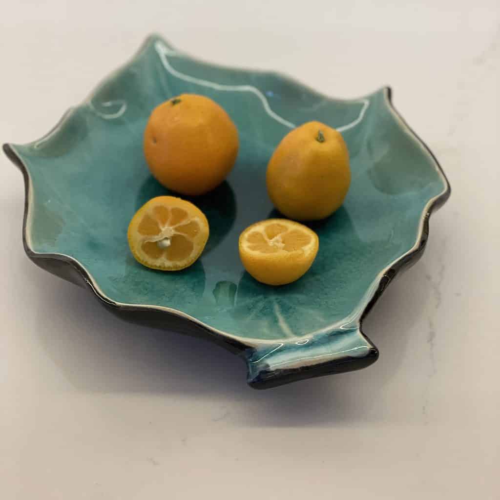 Fukushu (aka Changshou) Kumquat — 5 seeds – Fruits in 2-3 years!