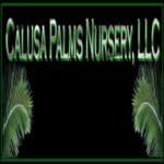 Calusa Palms Nursery