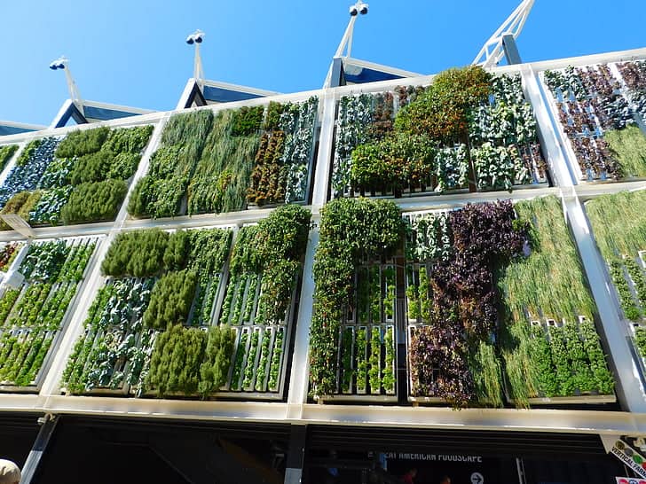 vertical garden saves energy and water