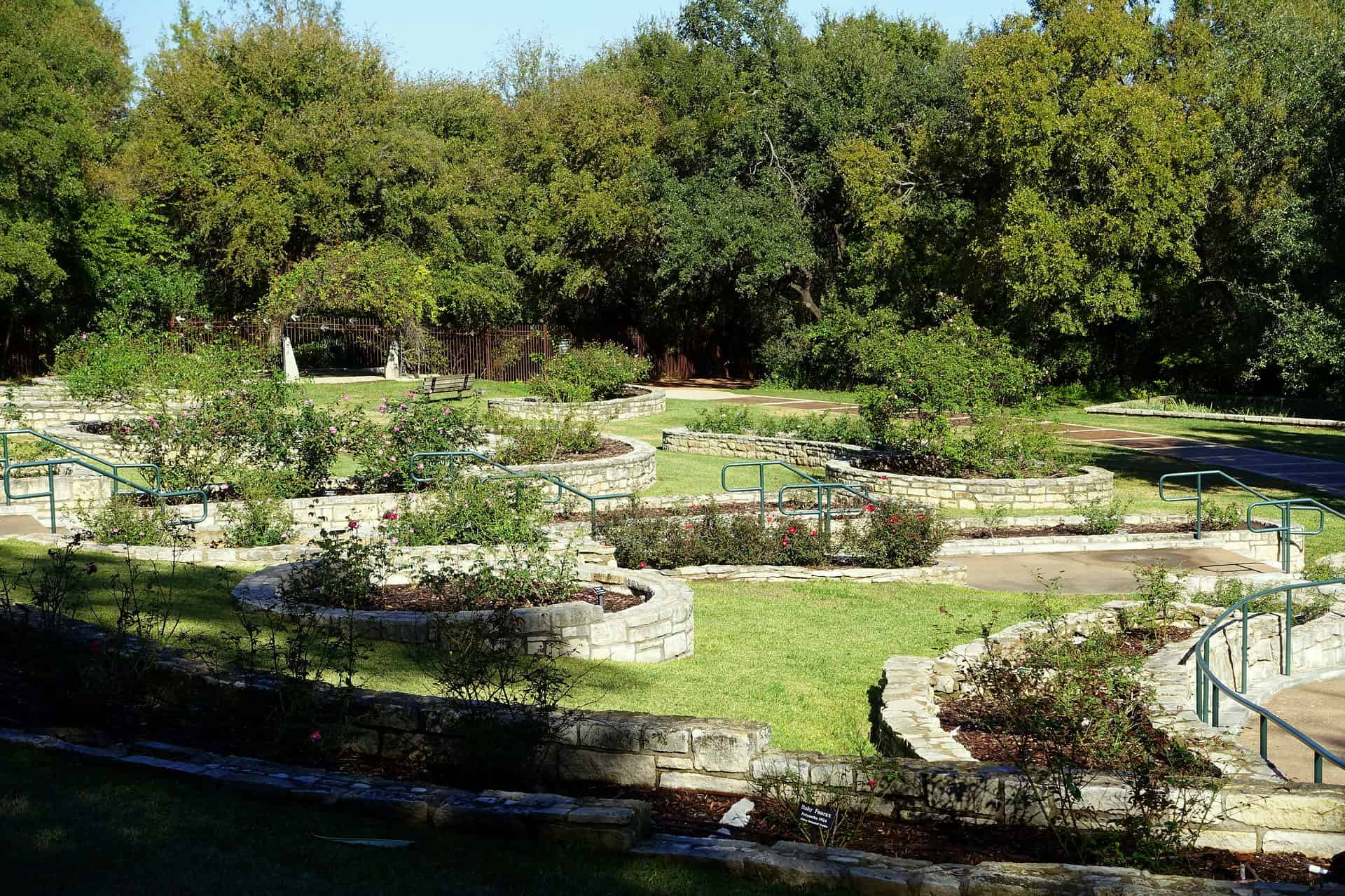 The Mabel Davis Rose Garden