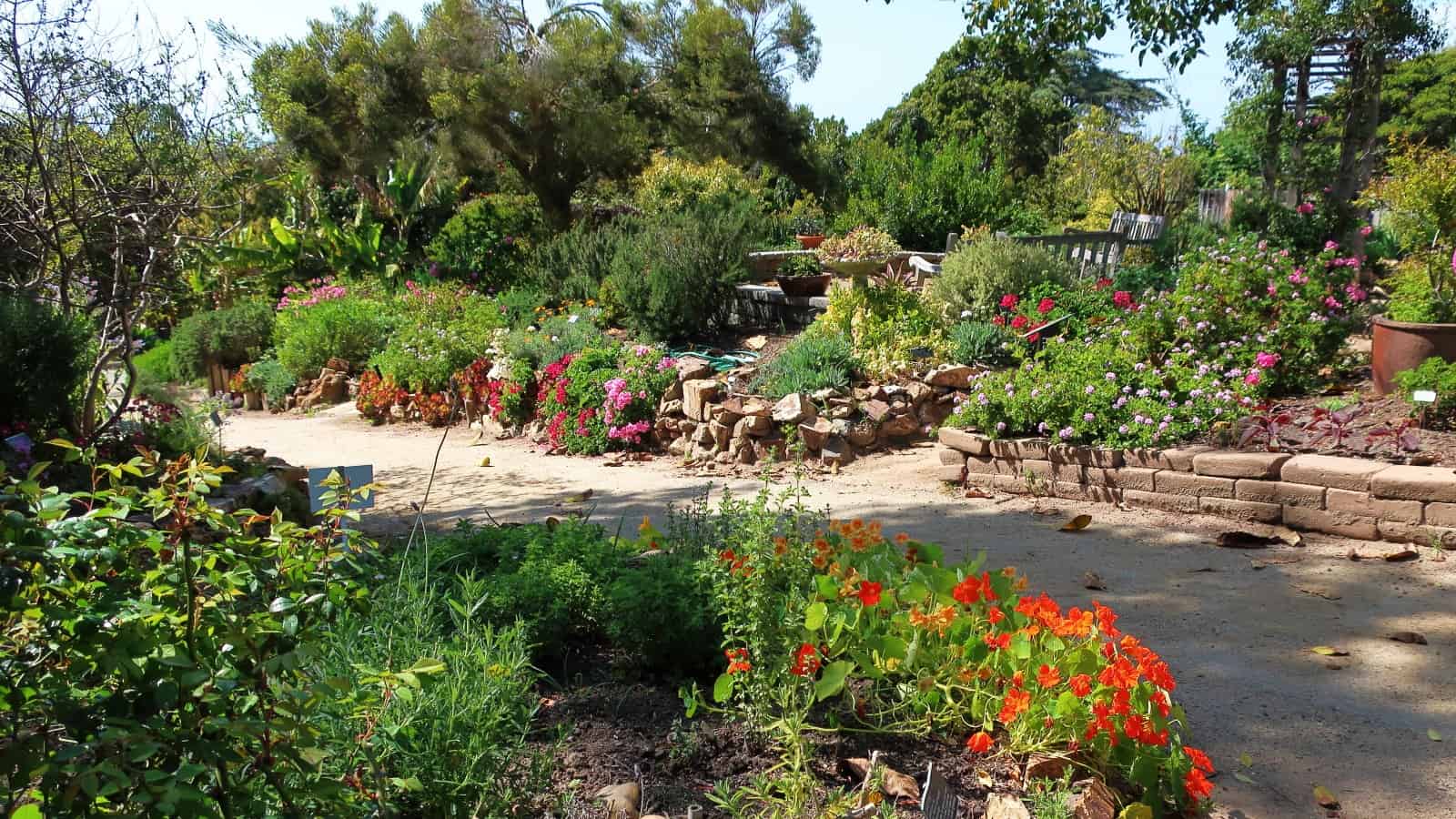 San Diego Botanical Gardens