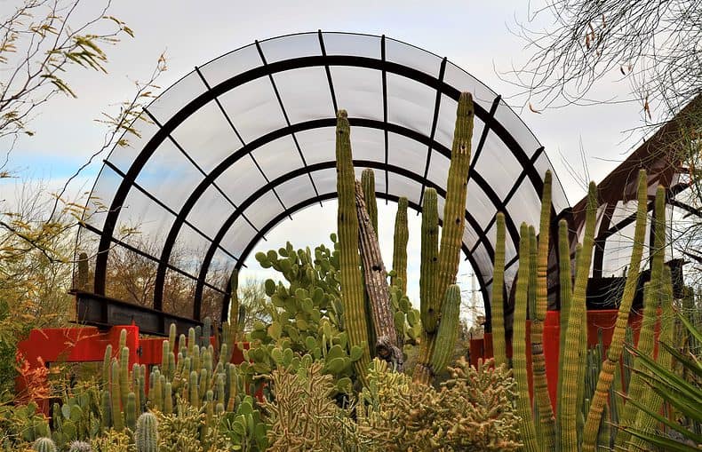 Desert Botanical Gardens