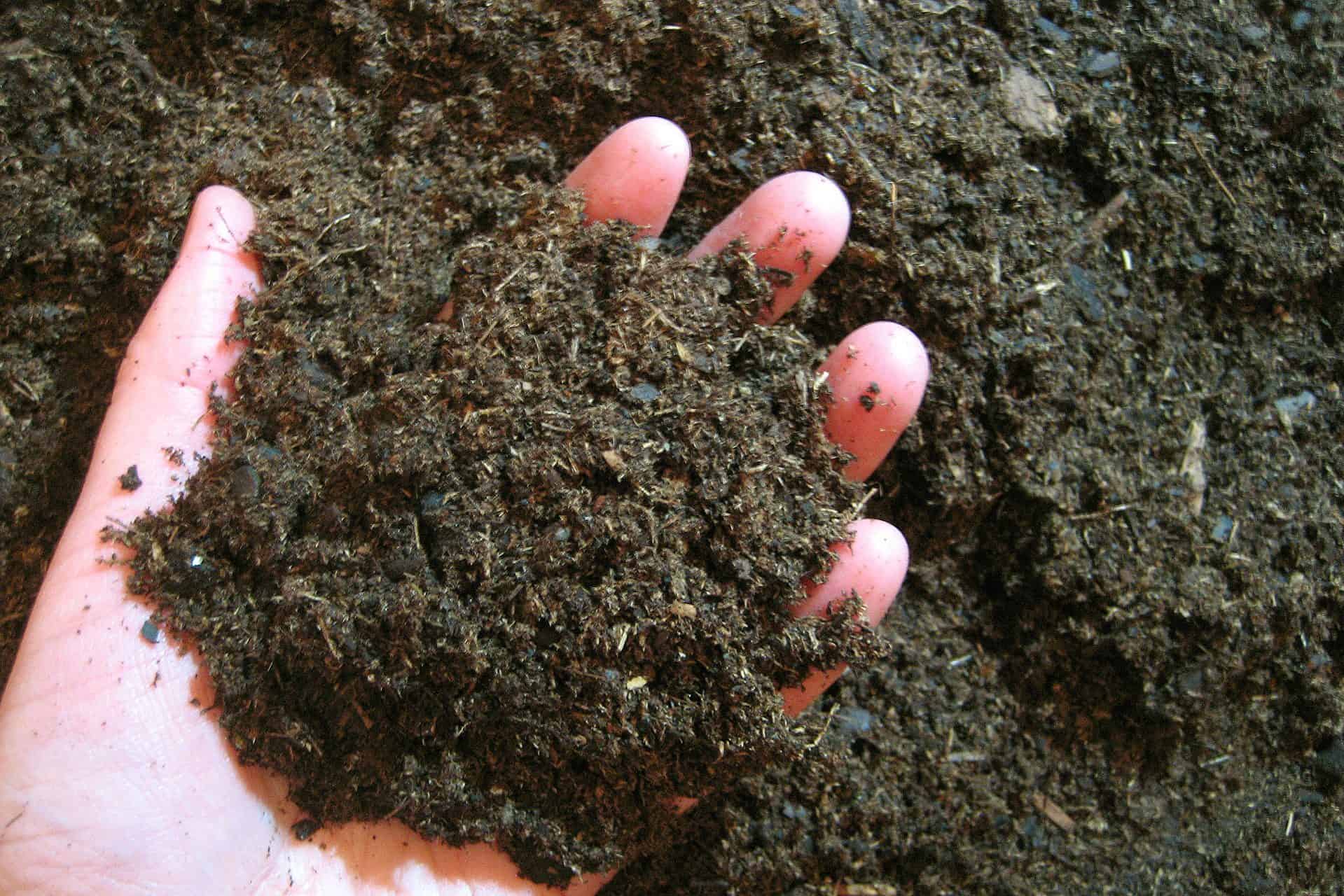 humus type soil