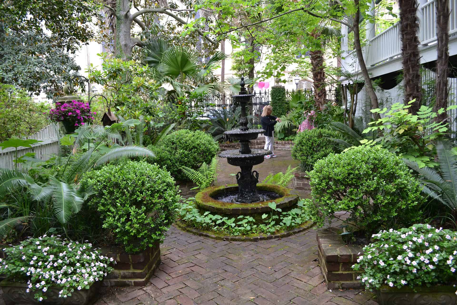 Savannah Botanical Gardens Everything