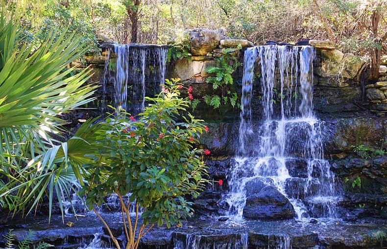 waterfalls in Zilker Botanical Garden