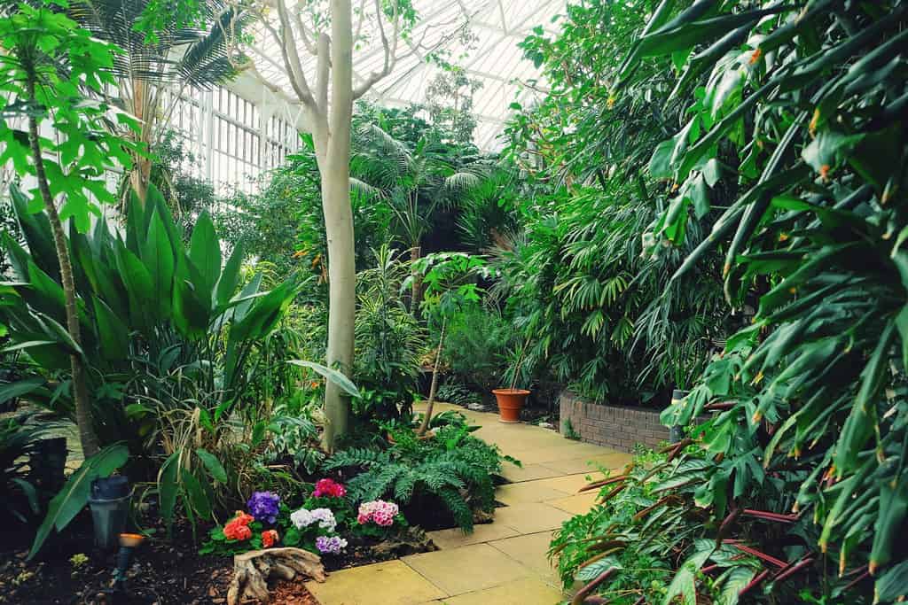 Fairchild Tropical Botanic Gardens conservatory @flickr