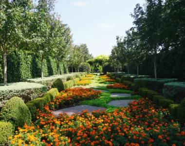 Dallas Arboretum And Botanical Garden