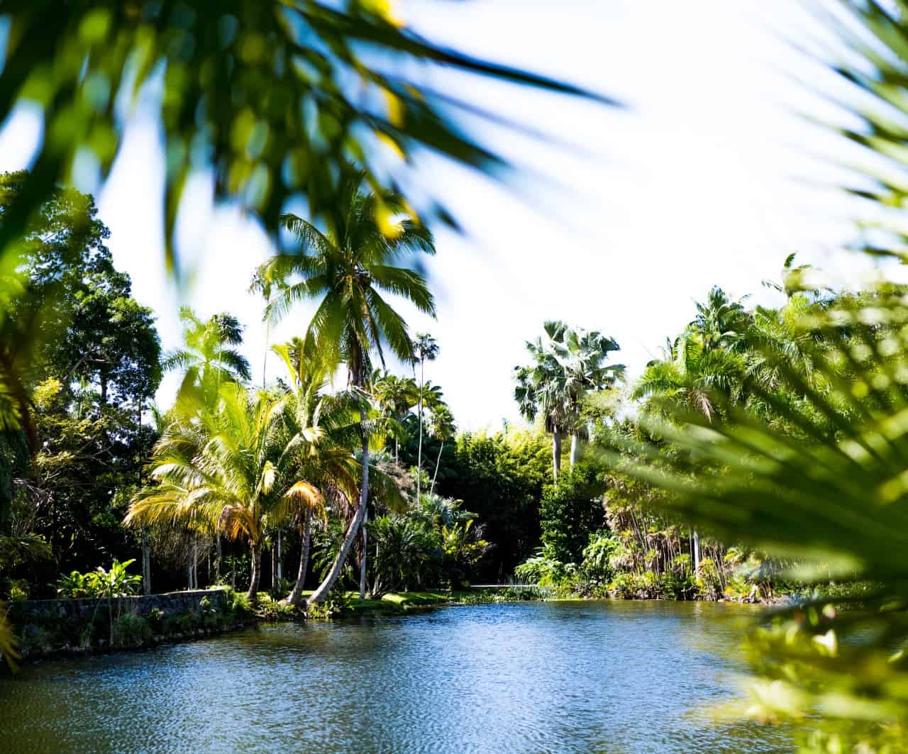 Fairchild Tropical Botanic Gardens