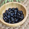 Black Mucuna Pruriens 15+ Seeds, Organic, free shipping