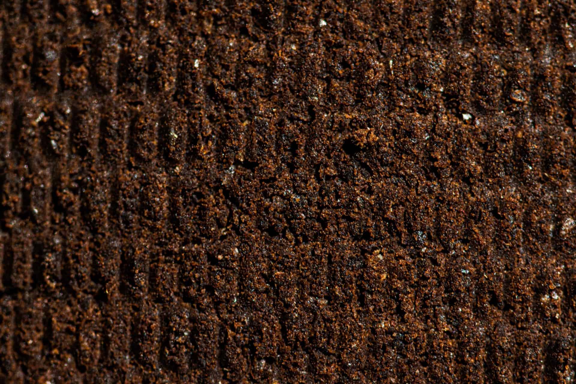 coffee grounds