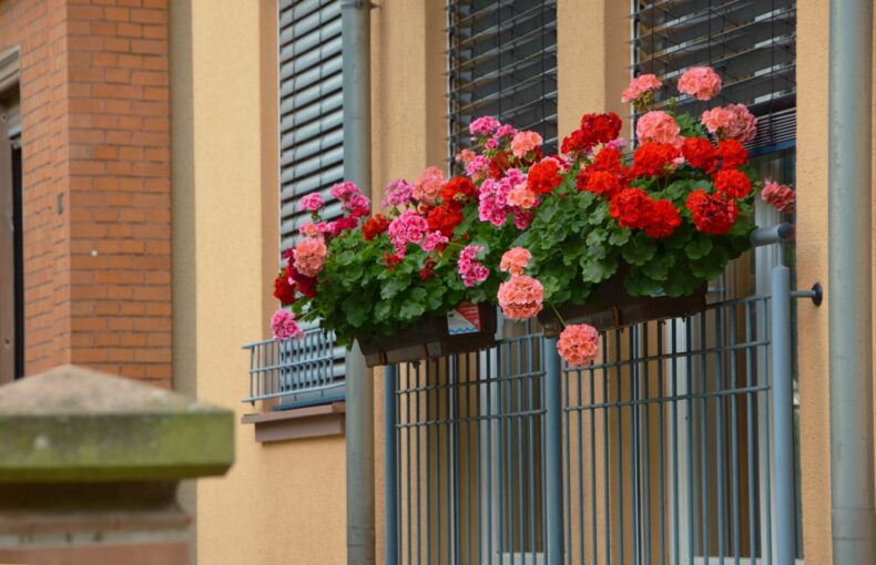 balcony planter