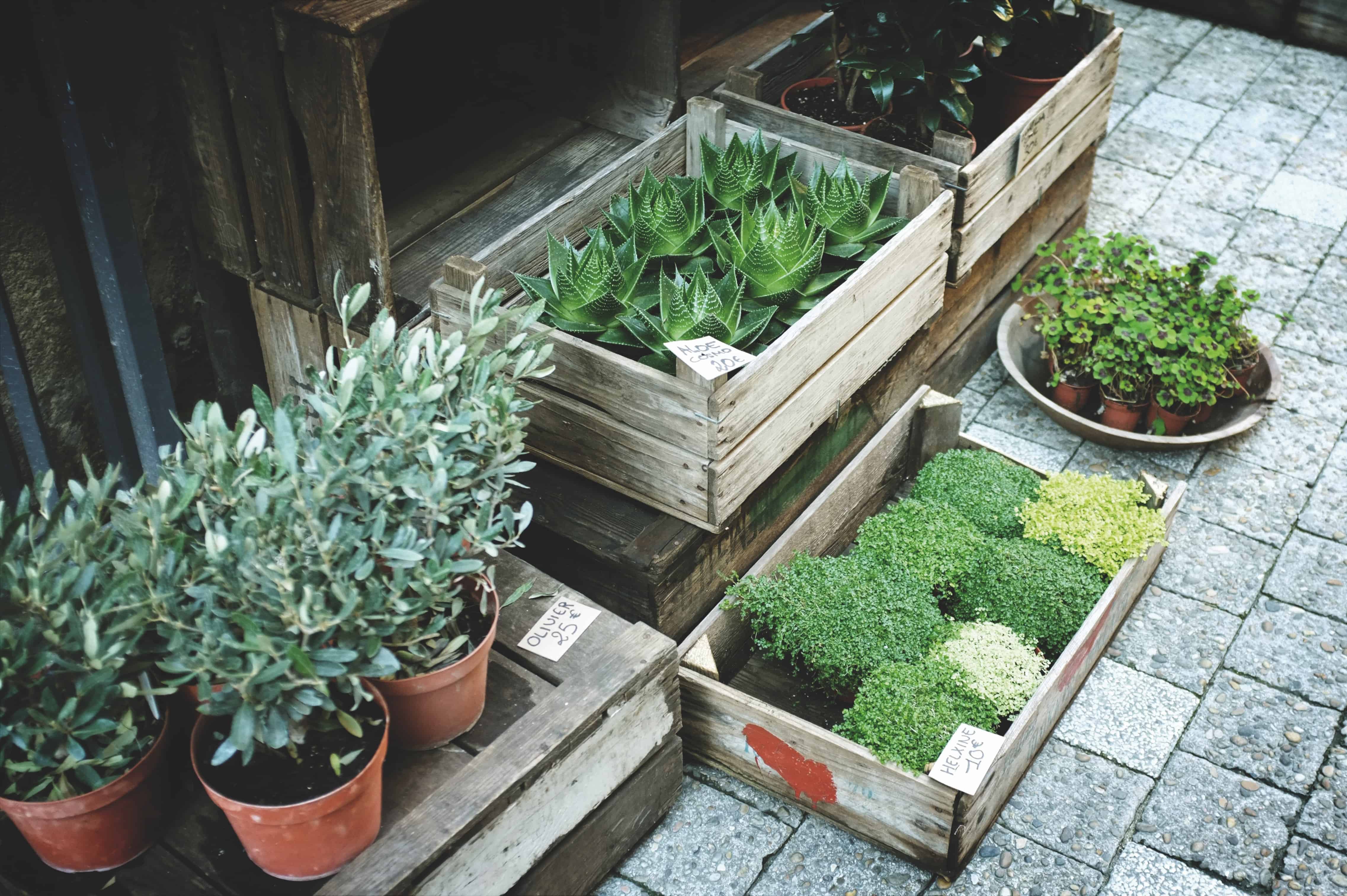 wooden crates planters