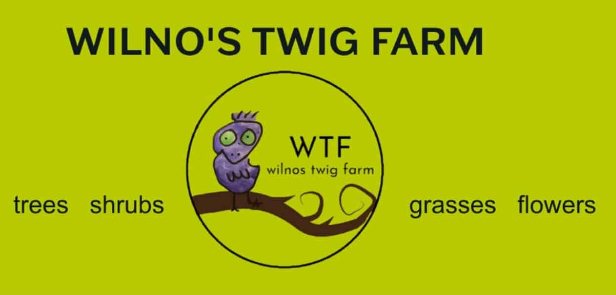 Wilnos Twig Farm