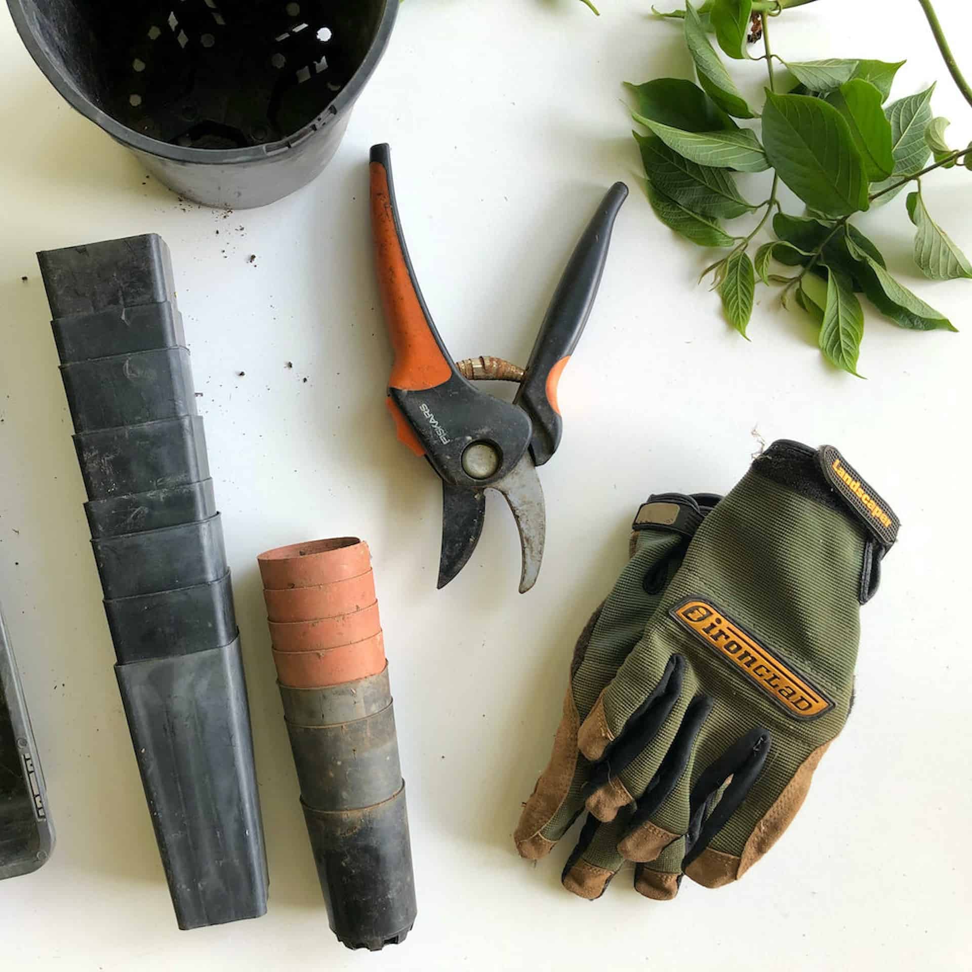 gardening, pruning tools