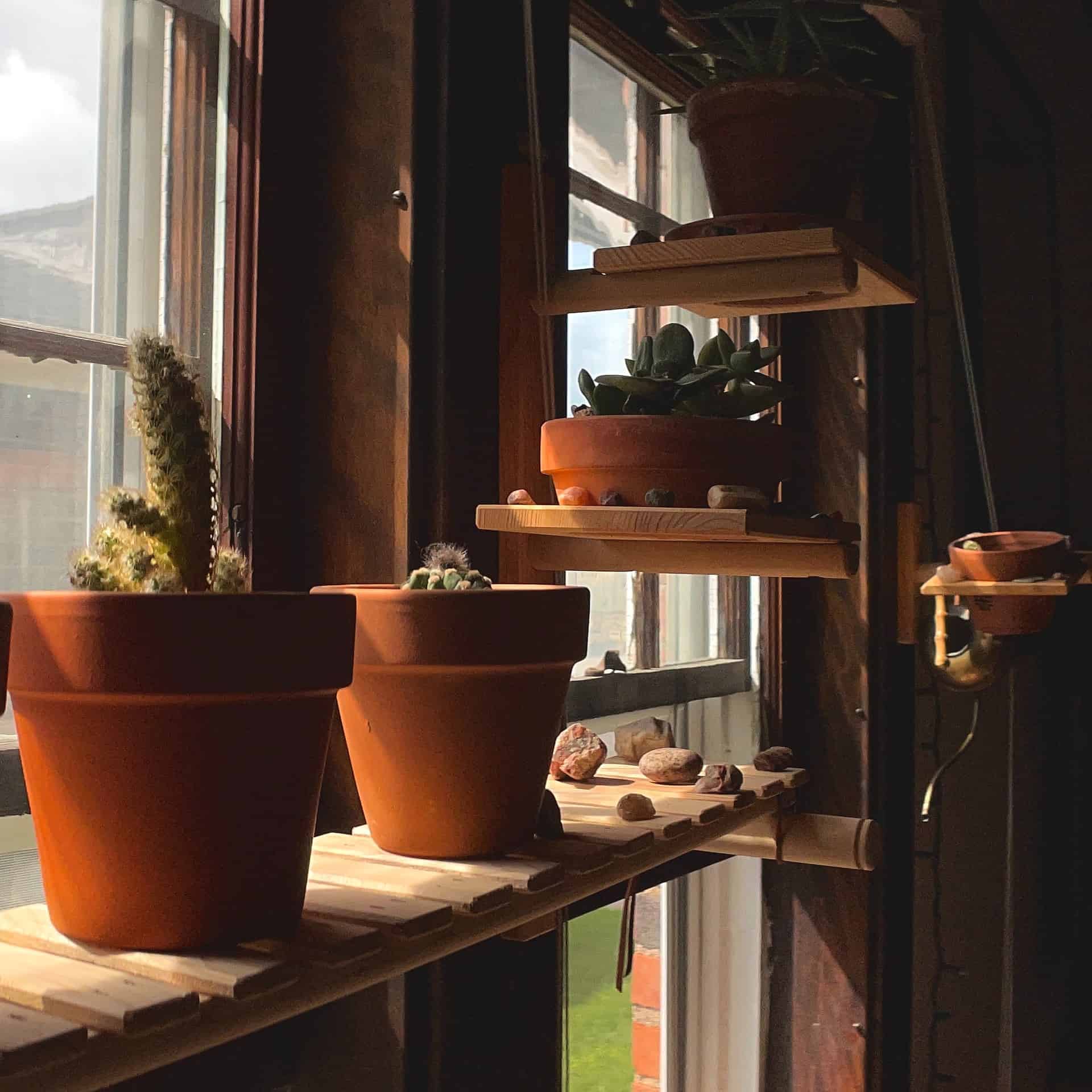 Tiered Window Plant Shelf