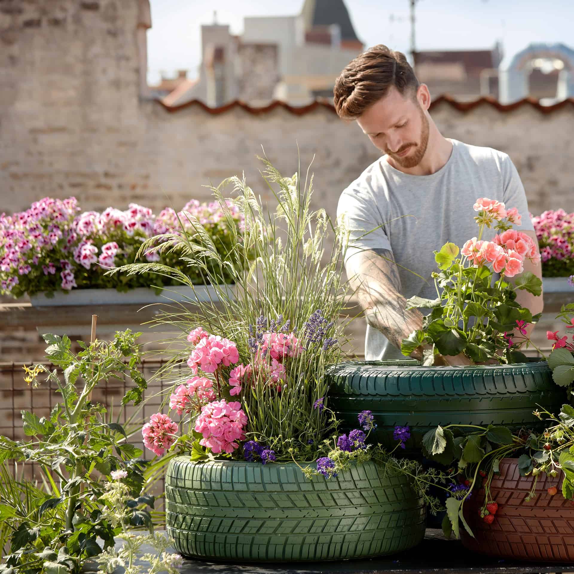 outdoor flowering plants