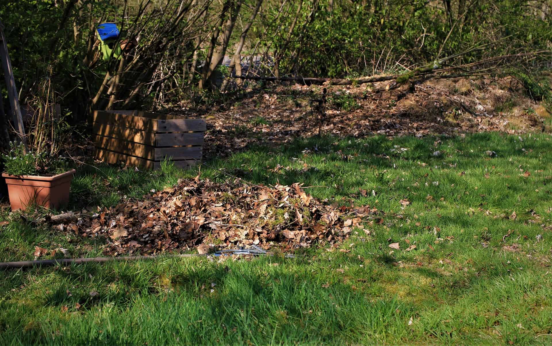 spring leaves clean-up