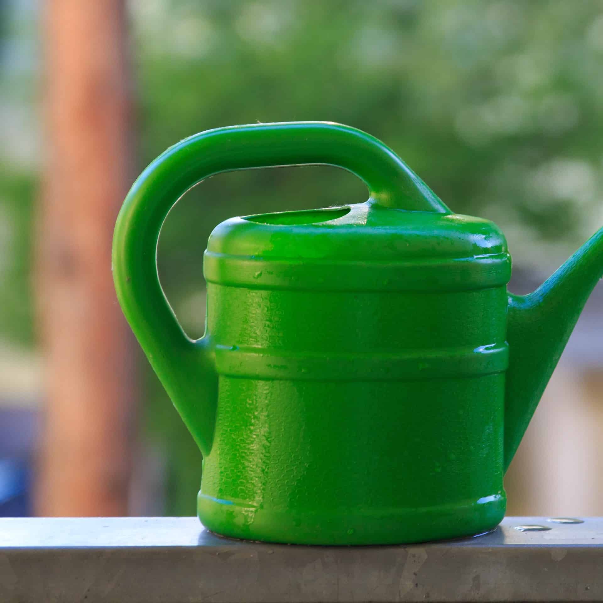 green plant watering jug